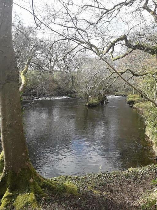 Stunning 3 Bed Riverside Cabin In Snowdonia Caeathro Exterior photo